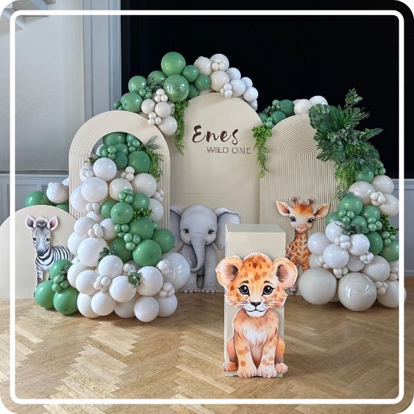 20251029_221113_0000